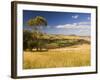 Farmland, Buchan, Victoria, Australia, Pacific-Schlenker Jochen-Framed Photographic Print