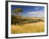 Farmland, Buchan, Victoria, Australia, Pacific-Schlenker Jochen-Framed Photographic Print