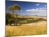 Farmland, Buchan, Victoria, Australia, Pacific-Schlenker Jochen-Mounted Photographic Print