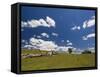 Farmland, Butchers Ridge, Victoria, Australia, Pacific-Schlenker Jochen-Framed Stretched Canvas