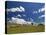 Farmland, Butchers Ridge, Victoria, Australia, Pacific-Schlenker Jochen-Stretched Canvas