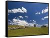 Farmland, Butchers Ridge, Victoria, Australia, Pacific-Schlenker Jochen-Framed Stretched Canvas