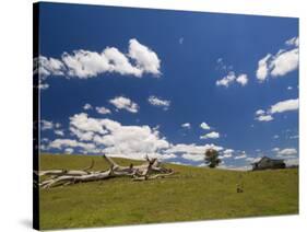 Farmland, Butchers Ridge, Victoria, Australia, Pacific-Schlenker Jochen-Stretched Canvas