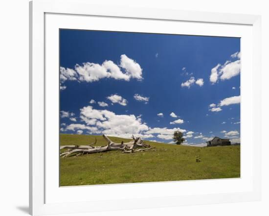 Farmland, Butchers Ridge, Victoria, Australia, Pacific-Schlenker Jochen-Framed Photographic Print