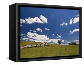 Farmland, Butchers Ridge, Victoria, Australia, Pacific-Schlenker Jochen-Framed Stretched Canvas