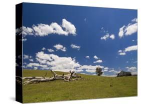 Farmland, Butchers Ridge, Victoria, Australia, Pacific-Schlenker Jochen-Stretched Canvas