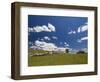 Farmland, Butchers Ridge, Victoria, Australia, Pacific-Schlenker Jochen-Framed Photographic Print