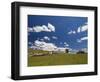 Farmland, Butchers Ridge, Victoria, Australia, Pacific-Schlenker Jochen-Framed Photographic Print