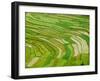 Farmland by the Three Gorges of the Yangtze River, China-Keren Su-Framed Premium Photographic Print