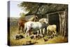 Farmland Friends-John Frederick Herring II-Stretched Canvas