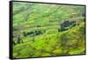 Farmland in Simien Mountain, Ethiopia-Keren Su-Framed Stretched Canvas