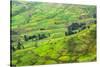 Farmland in Simien Mountain, Ethiopia-Keren Su-Stretched Canvas