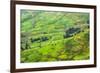 Farmland in Simien Mountain, Ethiopia-Keren Su-Framed Premium Photographic Print