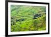 Farmland in Simien Mountain, Ethiopia-Keren Su-Framed Premium Photographic Print