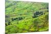 Farmland in Simien Mountain, Ethiopia-Keren Su-Mounted Premium Photographic Print