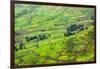 Farmland in Simien Mountain, Ethiopia-Keren Su-Framed Photographic Print