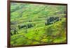 Farmland in Simien Mountain, Ethiopia-Keren Su-Framed Photographic Print