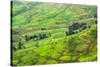 Farmland in Simien Mountain, Ethiopia-Keren Su-Stretched Canvas