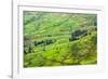 Farmland in Simien Mountain, Ethiopia-Keren Su-Framed Photographic Print