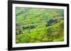 Farmland in Simien Mountain, Ethiopia-Keren Su-Framed Photographic Print