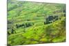 Farmland in Simien Mountain, Ethiopia-Keren Su-Mounted Photographic Print