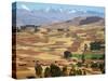 Farmland in the Sacred Valley, Cusco, Peru-Keren Su-Stretched Canvas