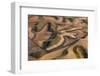 Farmland Landscape, with Ploughed Fields and Furrows in Palouse, Washington, Usa. an Aerial View Wi-Mint Images - Art Wolfe-Framed Photographic Print