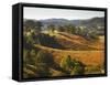 Farmland, Murwillumbah, New South Wales, Australia-Jochen Schlenker-Framed Stretched Canvas