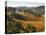 Farmland, Murwillumbah, New South Wales, Australia-Jochen Schlenker-Stretched Canvas