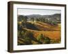 Farmland, Murwillumbah, New South Wales, Australia-Jochen Schlenker-Framed Photographic Print