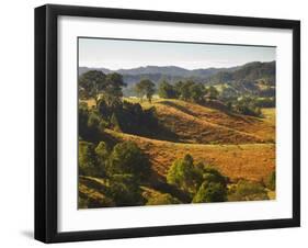 Farmland, Murwillumbah, New South Wales, Australia-Jochen Schlenker-Framed Photographic Print