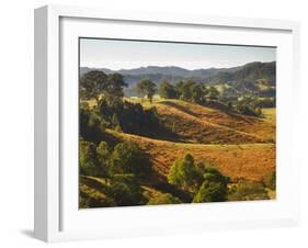 Farmland, Murwillumbah, New South Wales, Australia-Jochen Schlenker-Framed Photographic Print