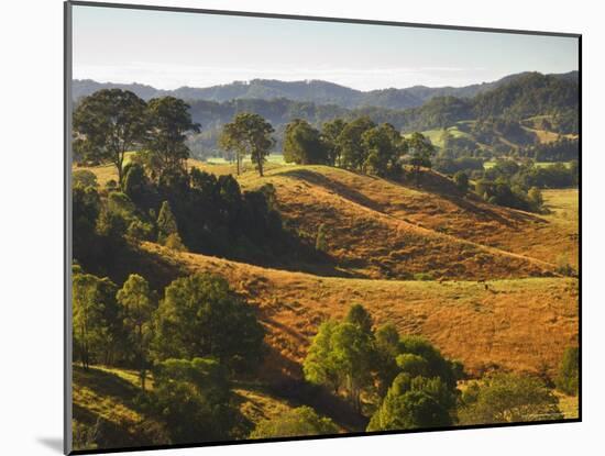 Farmland, Murwillumbah, New South Wales, Australia-Jochen Schlenker-Mounted Photographic Print