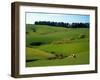 Farmland Near Clinton, New Zealand-David Wall-Framed Premium Photographic Print