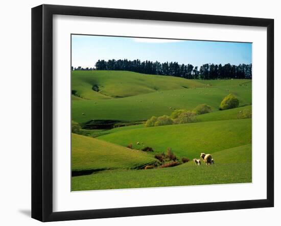 Farmland Near Clinton, New Zealand-David Wall-Framed Premium Photographic Print