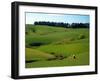 Farmland Near Clinton, New Zealand-David Wall-Framed Premium Photographic Print