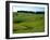 Farmland Near Clinton, New Zealand-David Wall-Framed Premium Photographic Print