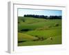 Farmland Near Clinton, New Zealand-David Wall-Framed Premium Photographic Print