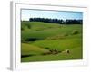 Farmland Near Clinton, New Zealand-David Wall-Framed Photographic Print