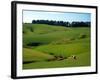 Farmland Near Clinton, New Zealand-David Wall-Framed Photographic Print