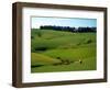 Farmland Near Clinton, New Zealand-David Wall-Framed Photographic Print