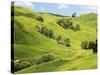 Farmland near Gisborne, New Zealand-David Wall-Stretched Canvas