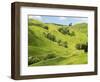 Farmland near Gisborne, New Zealand-David Wall-Framed Photographic Print