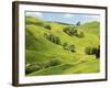 Farmland near Gisborne, New Zealand-David Wall-Framed Photographic Print