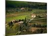 Farmland near Montepulciano, Tuscany, Italy-David Barnes-Mounted Photographic Print