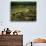 Farmland near Montepulciano, Tuscany, Italy-David Barnes-Photographic Print displayed on a wall