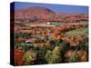 Farmland near Pomfret, Vermont, USA-Charles Sleicher-Stretched Canvas