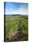 Farmland near Rotorua, North Island, New Zealand-David Wall-Stretched Canvas