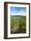 Farmland near Rotorua, North Island, New Zealand-David Wall-Framed Photographic Print