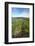 Farmland near Rotorua, North Island, New Zealand-David Wall-Framed Photographic Print